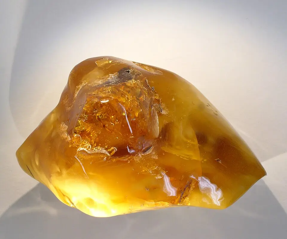 Amber specimen