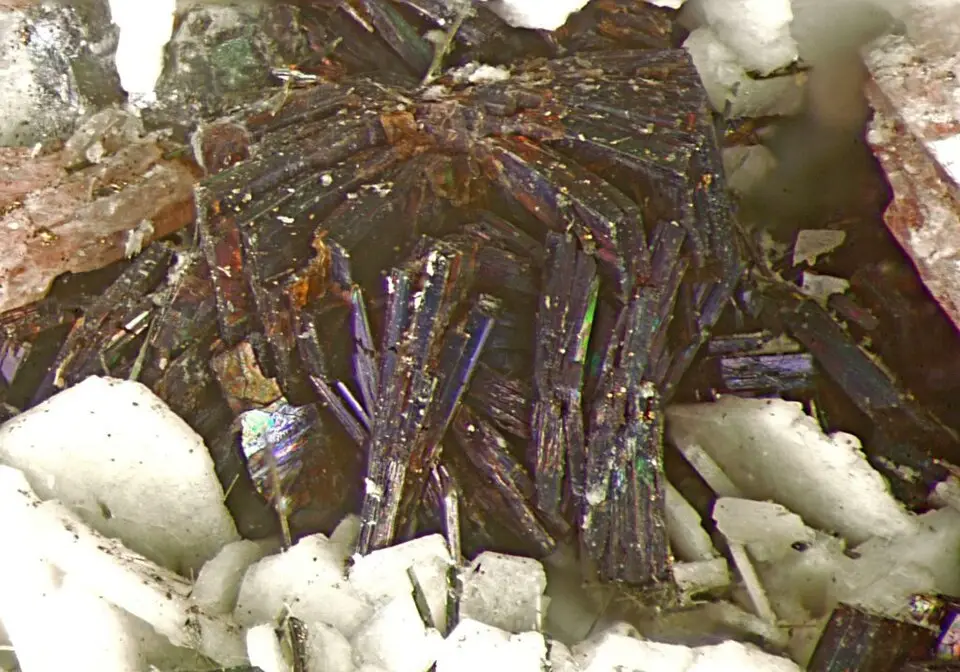 Astrophyllite specimen