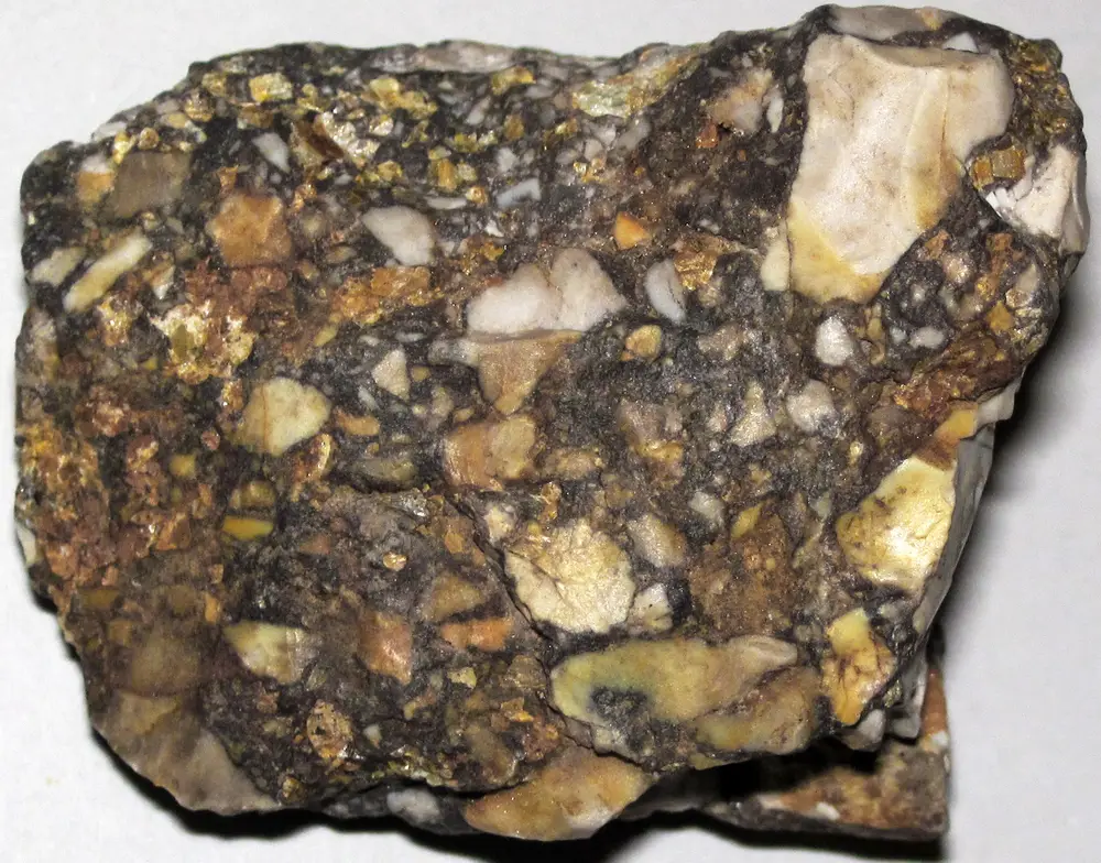 Chert specimen