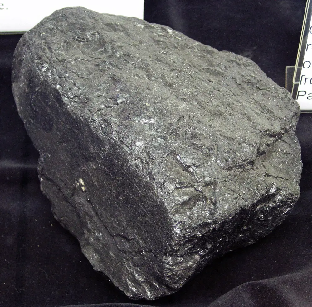 Coal specimen
