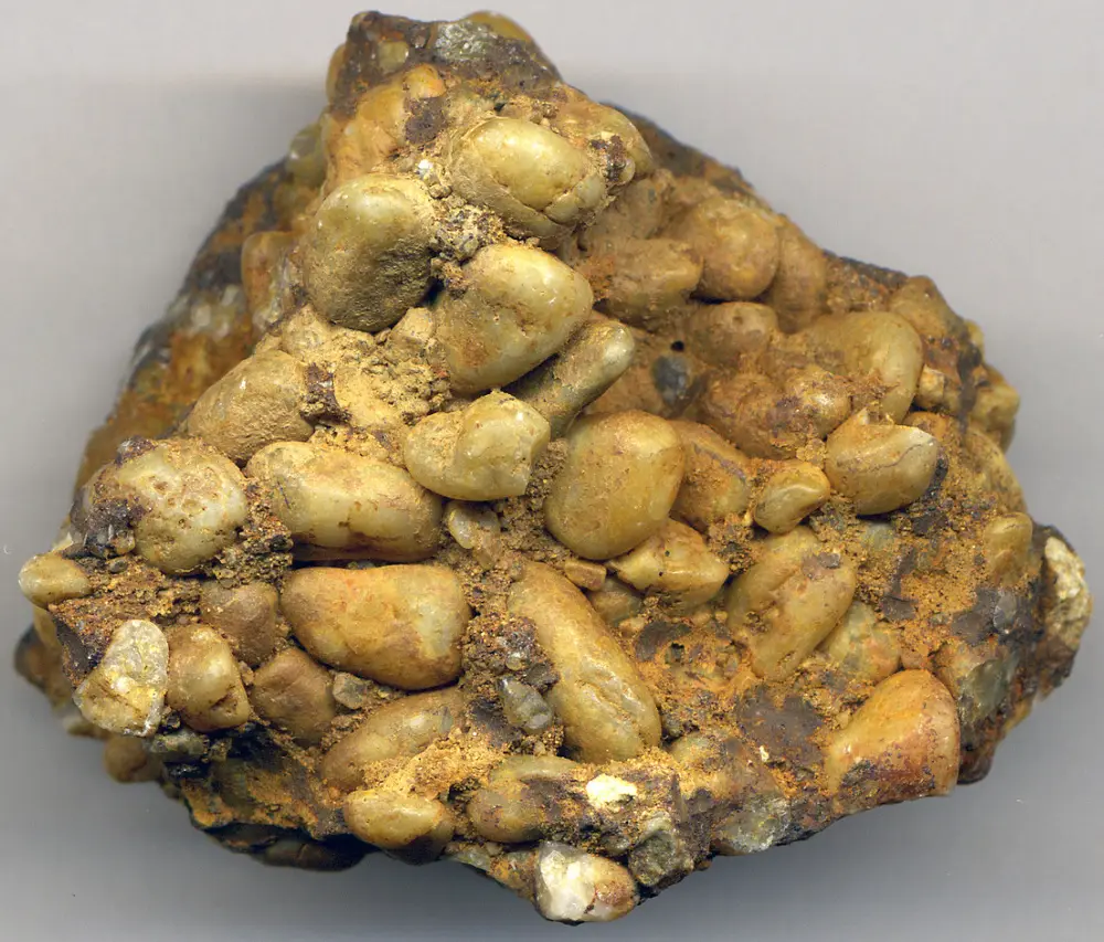 Conglomerate specimen