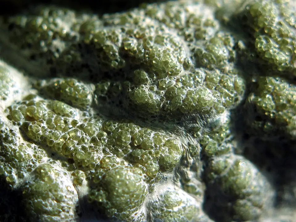 Demantoid specimen