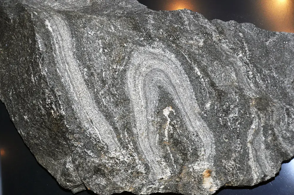 Gneiss specimen