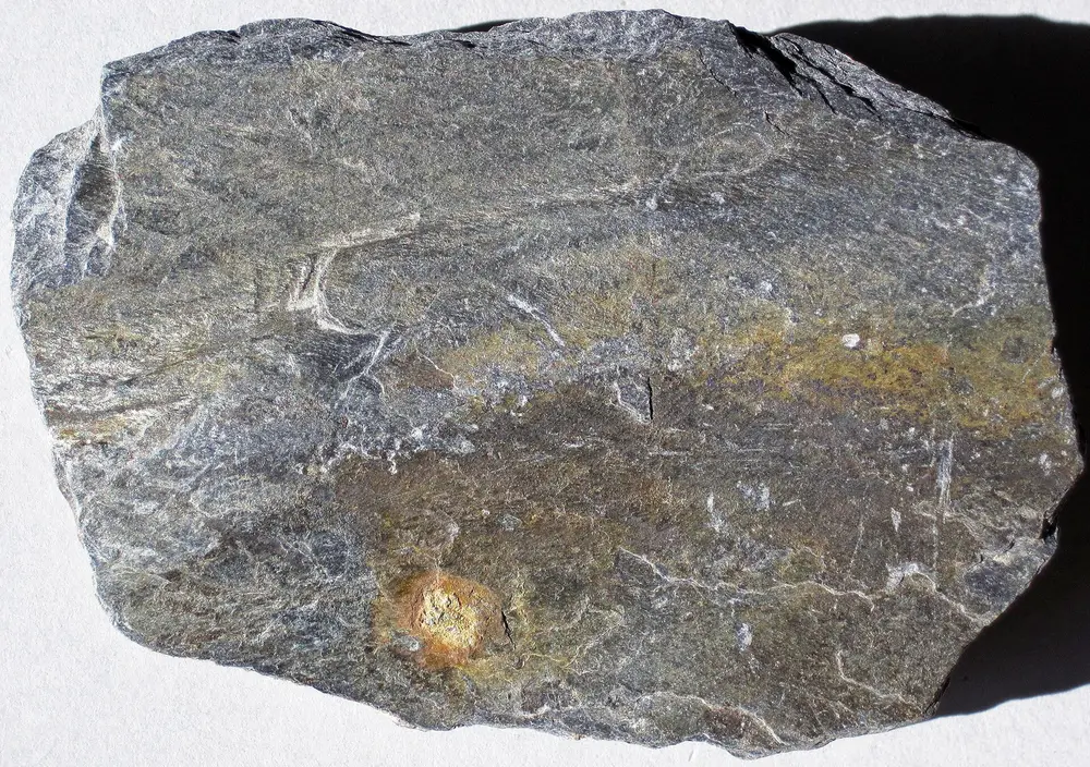 Phyllite specimen