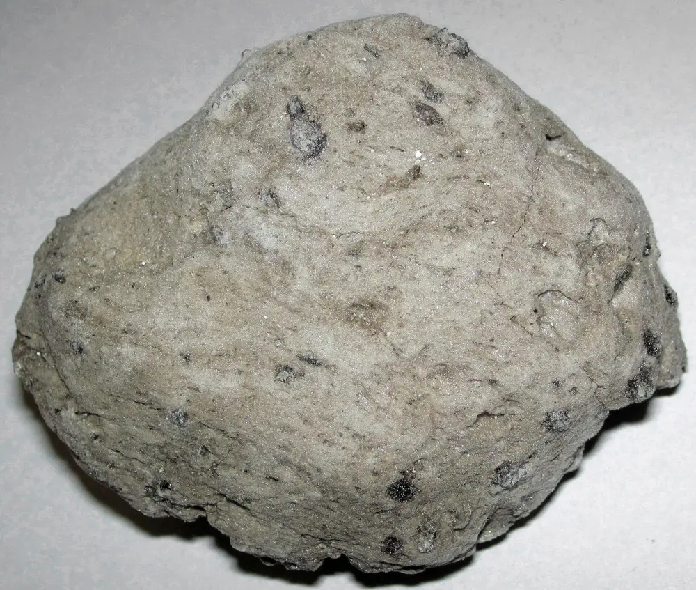 Pumice specimen