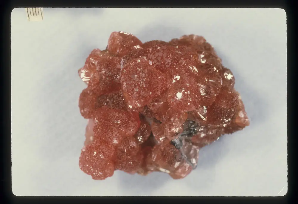 Rhodochrosite specimen