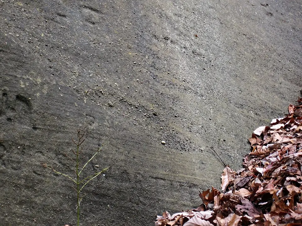 Sandstone specimen