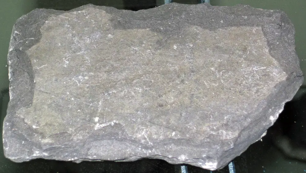 Shale specimen