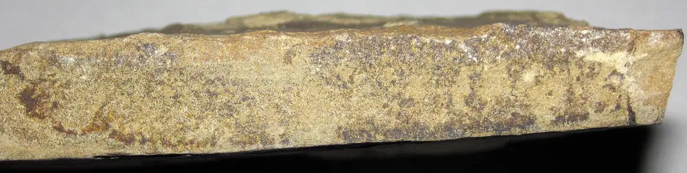 Siltstone specimen