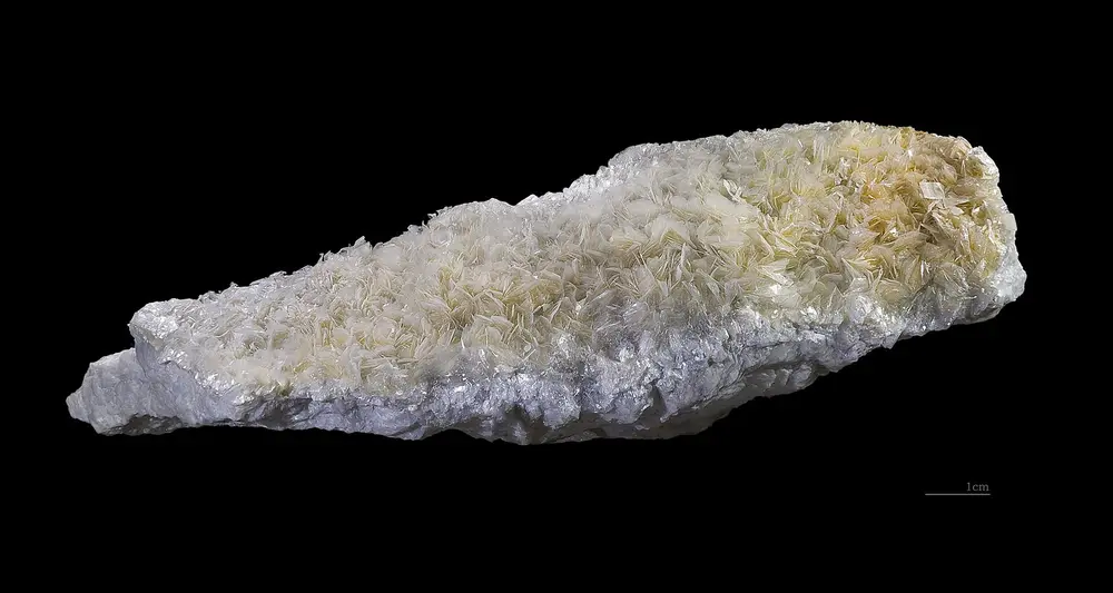 Talc specimen