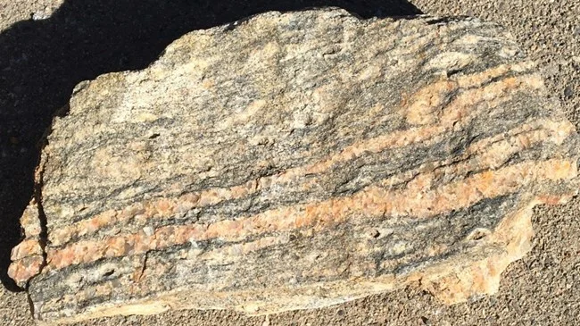 NPS gneiss specimen showing alternating pale and dark mineral bands